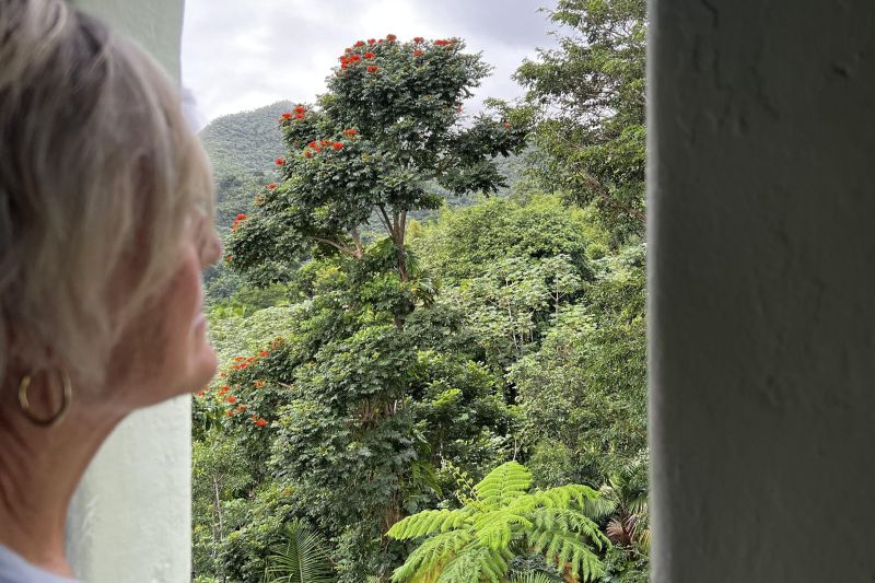 Kristi - El Yunque44