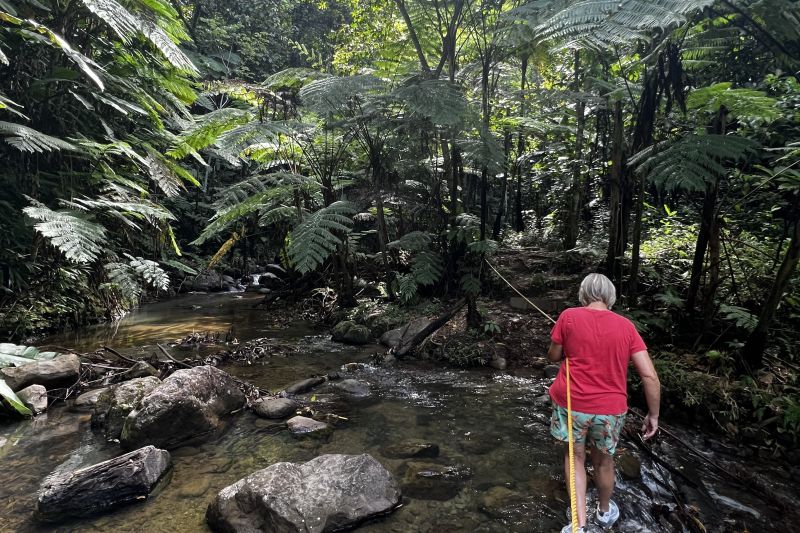 Syndicate Falls trail46