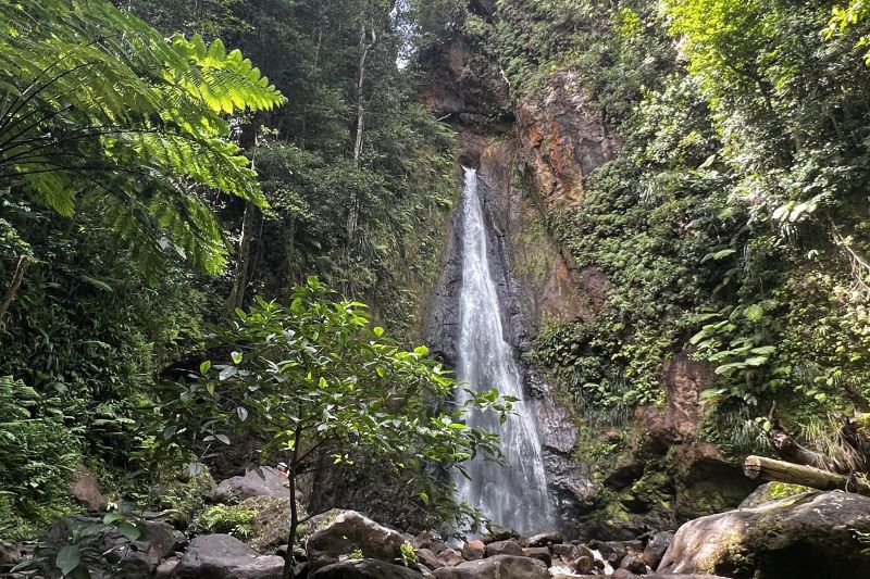 Syndicate Falls45