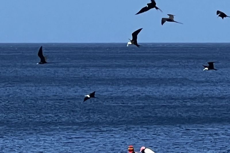 Fishermen43