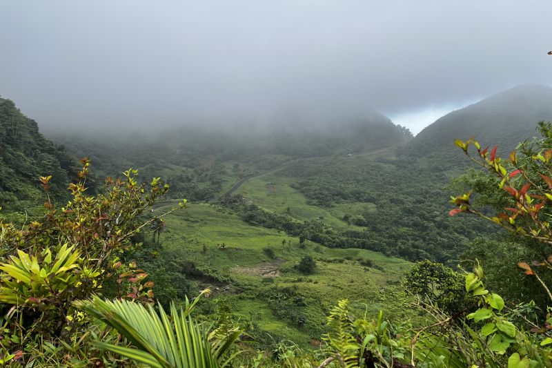 Hiking with our heads in the clouds!41