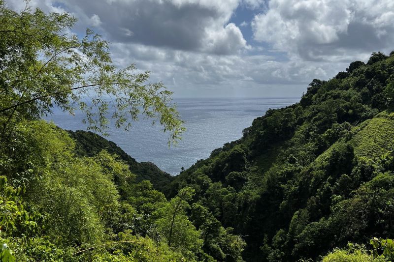 Waitukubuli Views36