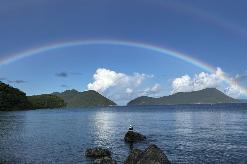 Double Rainbow and Pelican26