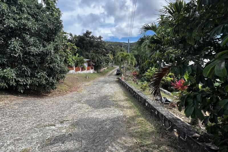 Walking the back streets of St John1