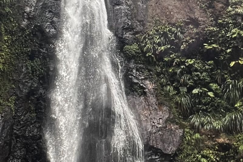 Syndicate Falls!64