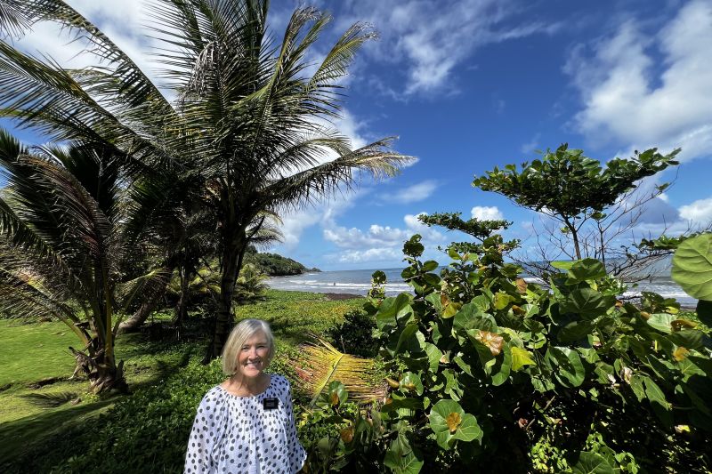 Dominica Atlantic side shore33