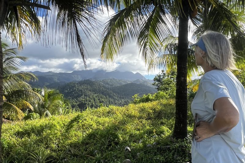 Tropical Mountains14