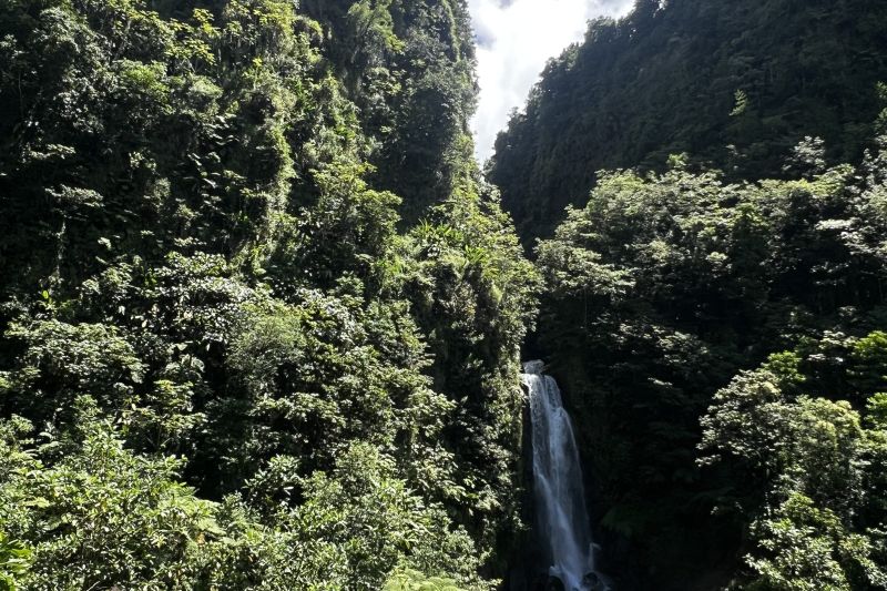 Trafalgar Falls5
