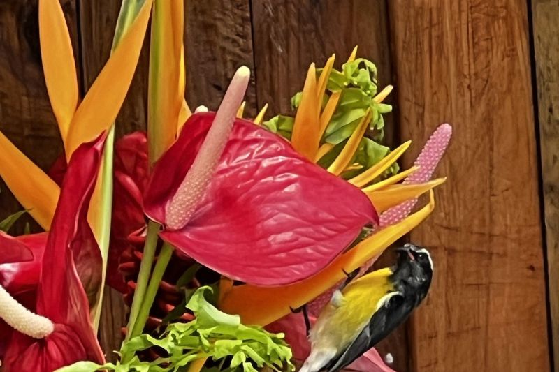 Yellow finch on table bouquet1